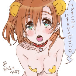 Rule 34 | 10s, 1girl, animal ears, bear ears, blue eyes, blush, breasts, brown hair, collar, cross pasties, gecko4488, heart, heart-shaped pupils, image sample, kosaka honoka, looking at viewer, love live!, love live! school idol project, nude, open mouth, pasties, pixiv sample, short hair, side ponytail, simple background, symbol-shaped pupils, tape, tape on nipples, translated, twitter username, yuri