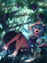 Rule 34 | 1girl, animal, animal on head, bad id, bad pixiv id, bare legs, barefoot, blue eyes, blue hair, cirno, day, dr.k, feet, food, frog, fruit, grapes, matching hair/eyes, on head, open mouth, outdoors, shoe dangle, shoes, short hair, single shoe, sitting, smile, smoke, solo, touhou, wings