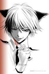 Rule 34 | 1boy, animal ears, artist name, blood, bloody weapon, cat ears, gloves, greyscale, hellsing, holding, holding knife, knife, male focus, monochrome, necktie, portrait, schroedinger (hellsing), solo, spot color, tongue, tongue out, toshimichi yukari, watermark, weapon, web address