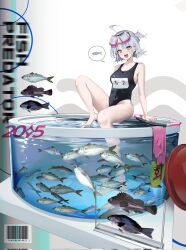 Rule 34 | 1girl, feet in water, fish, goggles, goggles on head, heterochromia, highres, nagul, one-piece swimsuit, original, short hair, sitting, solo, swimsuit