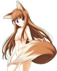 Rule 34 | 00s, animal ears, brown hair, chikugen shiina, holo, long hair, nude, red eyes, solo, spice and wolf, tail, wolf ears, wolf tail