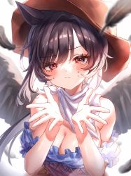 Rule 34 | 1girl, animal ears, backlighting, bandana, bare shoulders, black hair, black wings, bloom, blue shirt, blurry, blurry background, blush, breasts, brown hat, cleavage, closed mouth, commentary request, cowboy hat, depth of field, falling feathers, feathered wings, feathers, furrowed brow, hair intakes, hands up, hat, highres, horse ears, kurokoma saki, large breasts, long hair, looking at viewer, off-shoulder shirt, off shoulder, pegasus wings, ponytail, red eyes, shirt, simple background, solo, sweat, tearing up, touhou, umapyoi densetsu, waramori fuzuka, white background, wings