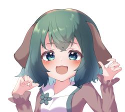 Rule 34 | 1girl, :d, animal ears, blue eyes, blush, commentary request, dog ears, dress, green hair, gumi 9357, hands up, kasodani kyouko, long sleeves, looking at viewer, open mouth, shirt, short hair, simple background, smile, solo, touhou, upper body, white background