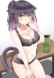 Rule 34 | 1girl, animal ears, arknights, bare arms, bare shoulders, bench, black hair, black shirt, black shorts, bottle, breasts, breath, cat ears, cat girl, cat tail, cleavage, clothes writing, collarbone, crop top, dolphin shorts, floppy ears, frown, green eyes, grey background, groin, hand up, heavy breathing, highres, jessica (arknights), k0ng, long hair, looking at viewer, medium breasts, midriff, multicolored hair, navel, pink hair, ponytail, red hair, shirt, short shorts, shorts, sitting, sleeveless, sleeveless shirt, solo, sports bra, stomach, sweat, tail, thighs, towel, two-tone hair, water bottle