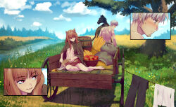 Rule 34 | 1boy, 1girl, absurdres, animal ears, apple, assertive female, back, barefoot, blush, breasts, brown hair, brushing, cape, cart, closed mouth, unworn clothes, craft lawrence, day, drying, drying clothes, embarrassed, feet, field, food, forest, fruit, full body, green cape, grin, highres, holding, holding brush, holo, horse, iskanderednaksi, long hair, looking down, looking to the side, medium breasts, multiple views, naked cape, nature, outdoors, parted lips, river, scenery, short hair, sitting, smile, spice and wolf, tail, brushing tail, thighs, topless male, tree, wheat, white hair, wolf ears, wolf girl, wolf tail
