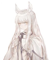 Rule 34 | 1girl, absurdres, animal ears, arknights, commentary, highres, long hair, looking at viewer, platinum (arknights), qiangjitong, silver hair, simple background, solo, upper body, white background