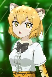 Rule 34 | 10s, 1girl, animal ears, bad id, bad pixiv id, black bow, black bowtie, blonde hair, bow, bowtie, center frills, chestnut mouth, commentary, elbow gloves, frills, fur collar, gloves, hair between eyes, highres, jaguar (kemono friends), jaguar ears, jaguar print, kemono friends, looking at viewer, open mouth, print gloves, shiraha maru, shirt, short hair, short sleeves, solo, upper body, white shirt, yellow eyes
