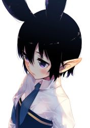 Rule 34 | 1girl, animal ears, bad id, bad twitter id, black hair, blue necktie, blush, closed mouth, collared shirt, commentary request, dress, from above, hair between eyes, highres, mano (narumi arata), narumi arata, necktie, original, pointy ears, purple eyes, shirt, short hair, simple background, solo, white background, white shirt, wing collar