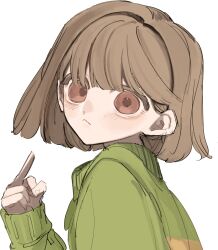Rule 34 | 1other, blush, brown eyes, brown hair, chara (undertale), closed mouth, green sweater, highres, i3dpi, long sleeves, looking at viewer, other focus, pointing, pointing at self, short hair, simple background, sleeves past wrists, solo, sweater, undertale, upper body, white background