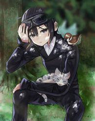 Rule 34 | 1girl, androgynous, animal, animal on lap, animal on shoulder, bird, black hair, blurry, blurry foreground, buttons, cat, closed mouth, double-breasted, female focus, goggles, goggles on head, grass, hand on own head, highres, jacket, kino (kino no tabi), kino no tabi, looking at viewer, nature, on ground, on lap, outdoors, pants, ptcl, purple eyes, reverse trap, short hair, sitting, solo, tree