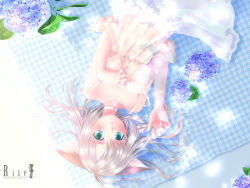 Rule 34 | 1girl, animal ears, aqua eyes, blonde hair, camisole, cat ears, collar, expressionless, flower, green eyes, grey hair, hand on own chest, hydrangea, jewelry, light, looking at viewer, lying, pendant, plaid, shadow, short hair, skirt, solo, touto seiro, upside-down, wallpaper