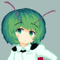 Rule 34 | 1girl, 999 (hansode), antennae, black cape, blush, cape, closed mouth, collared shirt, commentary request, expressionless, green eyes, green hair, grey background, highres, looking at viewer, pixel art, red cape, shirt, short hair, simple background, solo, touhou, two-sided cape, two-sided fabric, upper body, white shirt, wriggle nightbug