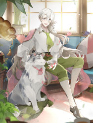 Rule 34 | 1boy, :d, airm, alternate costume, ascot, asymmetrical hair, black footwear, blue cheese (food fantasy), blue eyes, blurry, braid, cape, capri pants, collared shirt, couch, cushion, depth of field, dog, eyelashes, food fantasy, green ascot, green pants, hair between eyes, hair over shoulder, highres, indoors, loafers, long hair, long sleeves, looking at viewer, male focus, no eyewear, official art, open mouth, pale skin, pants, petals, phonograph, plant, puffy long sleeves, puffy sleeves, see-through, see-through cape, shirt, shoes, side cape, silver hair, sitting, sleeves past wrists, smile, solo, sparkle, spread fingers, tassel, third-party source, very long hair, wavy hair, white legwear, white shirt, window