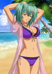 Rule 34 | 00s, 1girl, arms behind head, beach, bikini, breasts, cleavage, cloud, collar, day, green hair, ikkitousen, jewelry, large breasts, looking at viewer, navel, necklace, open mouth, outdoors, palm tree, purple bikini, ryofu housen, see-through, shiny skin, short twintails, side-tie bikini bottom, solo, standing, swimsuit, tree, twintails, yellow eyes