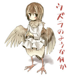 Rule 34 | 1girl, blush, brown hair, full body, harpy, looking at viewer, low wings, monster girl, simple background, solo, standing, translation request, white background, wings, yudepii