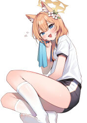 Rule 34 | 1girl, absurdres, animal ear fluff, animal ears, black shorts, blue archive, blue eyes, blush, commentary, gym shorts, gym uniform, highres, long hair, looking at viewer, mari (blue archive), mari (track) (blue archive), muo (muojjang 0929), official alternate costume, open mouth, orange hair, shirt, short sleeves, shorts, simple background, socks, solo, symbol-only commentary, white background, white shirt, white socks