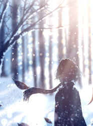 Rule 34 | 1girl, backlighting, bare tree, blurry, chinese commentary, commentary, female focus, forest, from behind, highres, leaf, lens flare, nature, original, outdoors, scarf, short hair, signature, skyrick9413, snow, solo, sunlight, tree, wind, winter