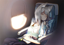 Rule 34 | 1girl, aircraft, airplane, airplane interior, animal ears, book, closed eyes, glasses, hong (white spider), long hair, original, pillow, revision, rimless eyewear, silver hair, sitting, sleeping, solo, wolf ears