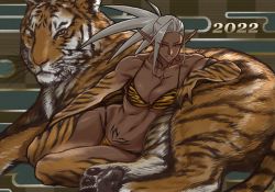 Rule 34 | 1girl, 2022, bikini, breasts, chest tattoo, chinese zodiac, collarbone, commentary request, dark-skinned female, dark elf, dark skin, dated, drill (emilio), earrings, elf, grey hair, highres, jewelry, looking at viewer, medium breasts, muscular, muscular female, navel, neytharone (drill (emilio)), original, parted lips, pointy ears, ponytail, pubic tattoo, red eyes, sitting, solo, swimsuit, tattoo, teeth, tiger, year of the tiger