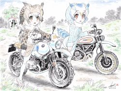 Rule 34 | 10s, 2girls, artist name, bird tail, blue sky, bmw, brown coat, brown eyes, brown hair, building, cloud, cloudy sky, coat, commentary, dated, day, dirt road, dirtbike, ducati, eurasian eagle owl (kemono friends), fur collar, grass, grey coat, head wings, highres, japari symbol, kemono friends, kubota shinji, light frown, long sleeves, looking at viewer, mary janes, motor vehicle, motorcycle, multiple girls, northern white-faced owl (kemono friends), open mouth, outdoors, pantyhose, pink footwear, red eyes, riding, road, shoes, short hair, signature, sitting, sky, star (sky), staring, starry sky, tail, tree, vehicle request, watermark, white coat, white hair, white legwear, wings