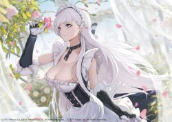 Rule 34 | 1girl, apron, azur lane, belfast (azur lane), black choker, blurry, blurry background, braid, breasts, choker, cleavage, collarbone, curtains, dress, falling petals, floating hair, flower, french braid, frilled gloves, frills, gloves, holding, holding flower, large breasts, long hair, looking to the side, maid, maid apron, maid headdress, marumoru, official art, outdoors, parted lips, petals, short sleeves, solo, very long hair, white dress, white gloves, white hair