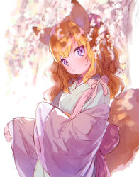 Rule 34 | 1girl, animal ear fluff, animal ears, blush, bow, cherry blossoms, commentary request, fox ears, fox tail, highres, japanese clothes, kimono, long hair, looking at viewer, mutou mato, orange hair, original, purple hair, sketch, sleeves past wrists, solo, tail, upper body, wavy hair, wide sleeves