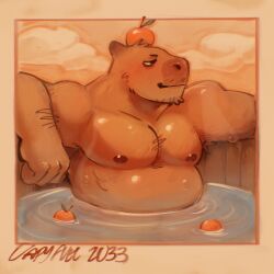 Rule 34 | 1boy, arm hair, armpit hair, armpit peek, bara, big belly, capy (capyfuel), capybara boy, facial hair, food, food on head, fruit, fruit on head, furry, furry male, goatee stubble, highres, large pectorals, looking to the side, male focus, mandarin orange, mature male, muscular, muscular male, mustache stubble, nipples, nude, object on head, onsen, original, outstretched arms, partially submerged, pectorals, short hair, solo, sparse arm hair, sparse chest hair, spread arms, stubble, upper body
