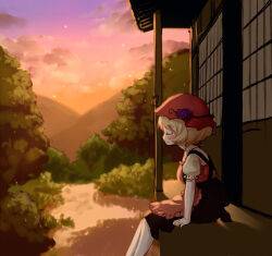 Rule 34 | 1girl, aki minoriko, apron, arinu, black skirt, blonde hair, blush, closed eyes, closed mouth, feet out of frame, from side, fruit hat ornament, grape hat ornament, hat, hat ornament, highres, mob cap, outdoors, profile, red apron, red hat, shirt, short hair, short sleeves, sitting, skirt, smile, solo, sunset, touhou, yellow shirt