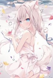 Rule 34 | 1girl, :o, air bubble, animal ear fluff, animal ears, ass, bare arms, bare shoulders, blue eyes, blue ribbon, braid, breasts, bubble, commentary, dress, flower, frilled dress, frills, grey hair, hair between eyes, hair ribbon, highres, hoshi (snacherubi), long hair, looking at viewer, looking to the side, low twintails, original, panties, parted lips, petals, purple flower, red flower, ribbon, sleeveless, sleeveless dress, small breasts, solo, symbol-only commentary, tail, twin braids, twintails, underwater, underwear, white dress, white panties