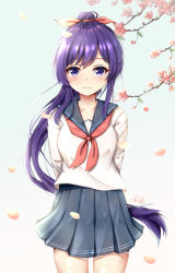 Rule 34 | 1girl, arms behind back, black sailor collar, black skirt, blush, branch, closed mouth, commentary request, flower, hair between eyes, high ponytail, highres, long hair, long sleeves, looking at viewer, neckerchief, petals, pink flower, pleated skirt, ponytail, purple eyes, purple hair, red neckerchief, sailor collar, school uniform, serafuku, shinano (warship girls r), shirt, skirt, smile, solo, very long hair, warship girls r, white shirt, zhudacaimiao