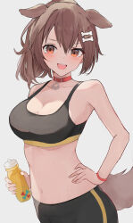 Rule 34 | 1girl, alternate costume, animal collar, animal ears, bare arms, bare shoulders, black pants, black sports bra, blush, bone hair ornament, bottle, breasts, brown eyes, brown hair, cartoon bone, cleavage, collar, commentary, dog ears, dog girl, dog tail, hair between eyes, hair ornament, hand on own hip, highres, holding, holding bottle, hololive, inugami korone, large breasts, looking at viewer, navel, open mouth, pants, ponytail, red collar, shuuzo3, simple background, smile, solo, sports bra, sportswear, stomach, sweat, symbol-only commentary, tail, teeth, upper teeth only, virtual youtuber, white background, yoga pants