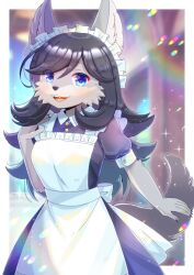 Rule 34 | 1girl, :d, animal ear fluff, animal ears, apron, black dress, black hair, blue eyes, blurry, blurry background, collared dress, commentary request, commission, depth of field, dress, fangs, frilled apron, frills, furry, furry female, hair between eyes, hand up, kou hiyoyo, long hair, looking at viewer, maid, maid apron, maid headdress, open mouth, original, puffy short sleeves, puffy sleeves, short sleeves, skeb commission, smile, solo, tail, very long hair, white apron