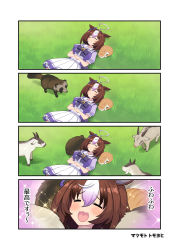 Rule 34 | 1girl, 4koma, ahoge, animal ears, blush, breasts, cat, comic, commentary request, goat, grass, happy, highres, horse ears, horse girl, large breasts, matsumoto tomoyohi, meisho doto (umamusume), open mouth, raccoon, school uniform, sleeping, tracen school uniform, translation request, umamusume