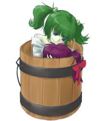 Rule 34 | 2girls, bags under eyes, blood, bucket, character request, collarbone, female focus, green hair, hair bobbles, hair ornament, in bucket, in container, kisume, multiple girls, note-takahashi, off shoulder, purple eyes, purple hair, severed head, short hair, smile, takahashi note, touhou, transparent background, twintails, yandere