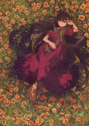 Rule 34 | 1girl, barefoot, blue eyes, brown hair, closed mouth, commentary request, dress, field, flower, flower field, from above, full body, highres, long dress, long hair, looking at viewer, lying, on back, on ground, orange flower, original, outdoors, potg (piotegu), red dress, short sleeves, solo, toes, very long hair