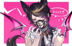 Rule 34 | 1boy, animal ears, black hair, blonde hair, border, chinese commentary, collar, colored inner hair, commentary request, demon wings, eyeshadow, fingernails, gloves, hand up, highres, kemonomimi mode, looking at viewer, makeup, male focus, metal collar, multicolored hair, muzzle, nijisanji, nijisanji en, open mouth, outside border, pink background, pink hair, portrait, purple eyes, purple hair, qingyu, red eyeshadow, sharp fingernails, short hair with long locks, shu yamino, shu yamino (1st costume), simple background, solo, speech bubble, streaked hair, swept bangs, tail, virtual youtuber, white border, white gloves, wings, wolf boy, wolf ears, wolf tail