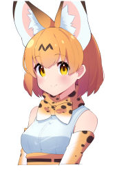 Rule 34 | 1girl, animal ear fluff, animal ears, bad id, bad pixiv id, blush, bow, bowtie, closed mouth, elbow gloves, gloves, highres, kemono friends, looking at viewer, orange eyes, orange hair, serval (kemono friends), short hair, simple background, sleeveless, smile, solo, takom, traditional bowtie, upper body, white background