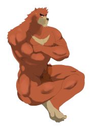 Rule 34 | 1boy, abs, bakemono no ko, barefoot, full body, furry, furry male, highres, kumatetsu, male focus, muscular, penis, sitting, smile, solo, testicles