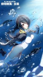 Rule 34 | 1girl, animal costume, animal hood, bird, black hair, black jacket, closed mouth, emperor penguin (kemono friends), gloves, headphones, highres, hood, jacket, kemono friends, kemono friends kingdom, long hair, looking at viewer, nature, official art, one-piece swimsuit, open mouth, penguin, penguin costume, penguin hood, penguin tail, solo, swimsuit, swimsuit under clothes, tail, turtleneck, turtleneck one-piece swimsuit, white one-piece swimsuit