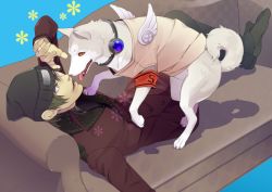 Rule 34 | 1boy, ame428, animal, aragaki shinjirou, armband, atlus, beanie, brown eyes, brown hair, buttons, coat, couch, dog, double-breasted, hat, koromaru (persona), male focus, megami tensei, one eye closed, persona, persona 3, red eyes, shin megami tensei, smile, solo, trench coat, wink