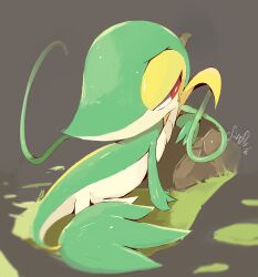Rule 34 | absurdres, creatures (company), dated, game freak, gen 5 pokemon, highres, leaf, looking to the side, nintendo, no humans, plant, pokemon, pokemon (creature), purpleninfy, red eyes, rock, signature, snivy, solo, vines