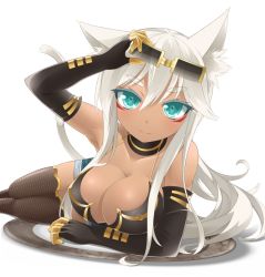 Rule 34 | 1girl, animal ears, aqua eyes, arm support, bare shoulders, breasts, cat ears, cat tail, cleavage, dark skin, dark-skinned female, elbow gloves, fishnets, gloves, goribote, kaiten muten-maru, large breasts, looking at viewer, lying, on side, shamu meruruusa, solo, tail, thighhighs, white background, white hair