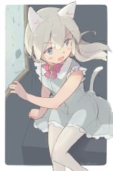 Rule 34 | 1girl, animal ears, blue dress, bow, bowtie, cat ears, cat girl, cat tail, dress, fang, grey hair, leoharju, long hair, neck bell, open mouth, original, pantyhose, sitting, sleeveless, sleeveless dress, solo, tail, thighhighs, white thighhighs