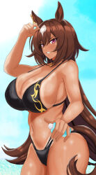 Rule 34 | 1girl, absurdres, alternate costume, animal ears, bare shoulders, bikini, black bikini, blue sky, bottle, breasts, brown hair, commentary request, cowboy shot, day, ear ornament, grin, hair between eyes, highres, holding, holding bottle, horse ears, horse girl, horse tail, large breasts, long hair, looking at viewer, multicolored hair, outdoors, red eyes, revealing clothes, sirius symboli (umamusume), sky, smile, solo, streaked hair, swimsuit, tail, tan, tessa (uma orfevre), umamusume, very long hair, white hair