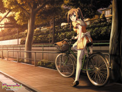 Rule 34 | 00s, 1girl, 2005, ahoge, alto, alto (game), bag, bicycle, bow, brown footwear, brown hair, building, bush, chain-link fence, company name, dress, fence, from behind, green eyes, highres, iwasaki kouji, jast, leg up, lens flare, long hair, looking at viewer, looking back, non-web source, open mouth, orange dress, outdoors, pantyhose, pavement, plant, puffy short sleeves, puffy sleeves, railing, railroad tracks, sailor dress, satchel, school bag, school uniform, serafuku, shoes, short dress, short sleeves, sidelocks, sidewalk, sitting, smile, solo, sunlight, sunset, tachibana megumi, town, tree, twintails, wall, wallpaper, white bow, white pantyhose