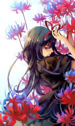 Rule 34 | 10s, 1girl, akemi homura, akemi homura (black dress), black hair, dress, flower, from behind, funeral dress, gradient background, hair ribbon, highres, long hair, looking at viewer, looking back, mahou shoujo madoka magica, mahou shoujo madoka magica: hangyaku no monogatari, purple eyes, ribbon, sd pink, simple background, solo, spider lily, spoilers, white background