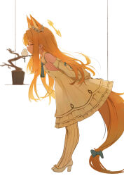 1girl animal_ear_fluff animal_ears bare_shoulders blue_archive blue_bow blue_necktie bow closed_eyes closed_mouth detached_sleeves dress flower fox_ears fox_girl fox_tail from_side hair_flower hair_ornament high_heels highres huaaa_nn incoming_kiss leaning_forward necktie pantyhose seia_(blue_archive) shoes sleeves_past_fingers sleeves_past_wrists striped_clothes striped_pantyhose tail tail_bow tail_ornament vertical-striped_clothes vertical-striped_pantyhose white_dress white_flower white_pantyhose white_shoes