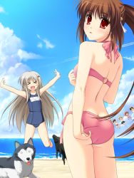 Rule 34 | &gt; &lt;, 2girls, :d, adjusting clothes, adjusting swimsuit, ass, barefoot, beach, bikini, blonde hair, brown hair, cloud, day, dog, closed eyes, hinata nao, inohara masato, jumping, little busters!, long hair, looking back, miyazawa kengo, multiple girls, name tag, naoe riki, natsume kyousuke, natsume rin, non-web source, noumi kudryavka, one-piece swimsuit, open mouth, outdoors, outstretched arms, pink bikini, ponytail, red eyes, school swimsuit, sky, smile, spread arms, strelka, swimsuit, wolf