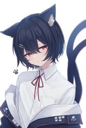 Rule 34 | 1boy, alternate hair length, alternate hairstyle, animal ears, black hair, black jacket, breast pocket, cat boy, cat ears, cat tail, chisuzu mei, chucolala, closed mouth, collared shirt, commentary request, expressionless, genderswap, genderswap (ftm), hair ornament, hairclip, highres, jacket, jitome, looking at viewer, male focus, multiple tails, neck ribbon, off shoulder, paw print, pocket, red eyes, red ribbon, ribbon, sese nagi, shirt, short hair, simple background, solo, tail, transparent background, trap, two tails, upper body, virtual youtuber, white shirt