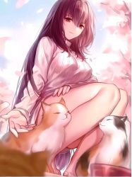 Rule 34 | 1girl, absurdres, animal ears, bare legs, barefoot, bowl, breasts, cat, cherry blossoms, eyebrows hidden by hair, fate/grand order, fate (series), hair between eyes, highres, long hair, looking at viewer, purple eyes, purple hair, qiongsheng, scathach (fate), smile, solo, squatting, sweater